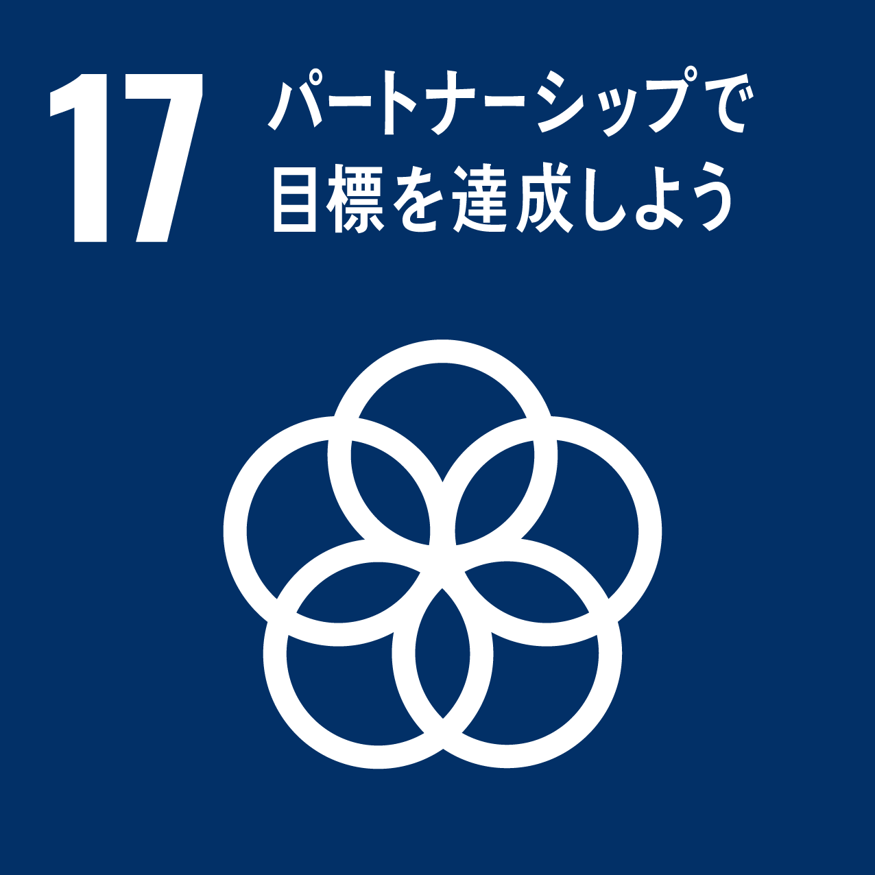 １７、パートナーシップで目標を達成しよう